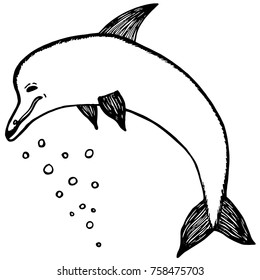 Hand drawn sketch style dolphin.Vector illustration isolated on white background.
