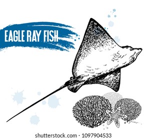 Hand drawn sketch style eagle ray isolated on white background. Vector illustration.