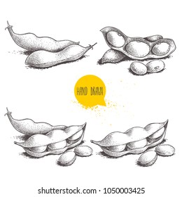 Hand drawn sketch style edamame green beans sketches set. Vegan and vegetarian food. Fresh farm market product. Vector illustrations isolated on white background.