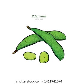 Hand drawn sketch style edamame green beans sketches set. Vegan and vegetarian food. Fresh farm market product. Vector illustrations