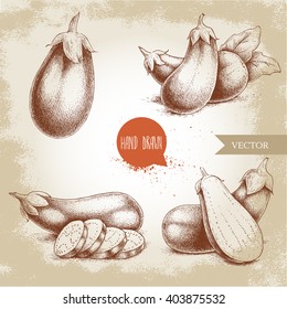 Hand drawn sketch style eggplants. Fresh and sliced aubergine. Vintage illustration of healthy fresh organic food. 