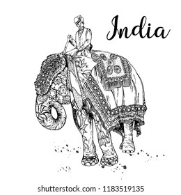 Hand drawn sketch style elephant with an Indian man sitting on it isolated on white background. Vector illustration.