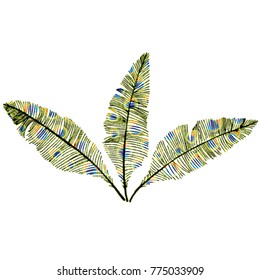 Hand drawn sketch style. Feathers. Vector illustration isolated on white background.