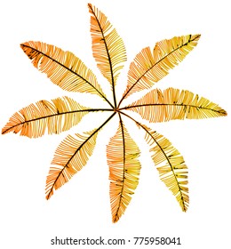 Hand drawn sketch style. Feathers. Vector illustration isolated on white background.
