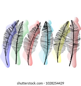 Hand drawn sketch style. Feathers.Vector illustration.