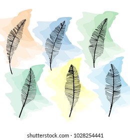 Hand drawn sketch style. Feathers.Vector illustration.