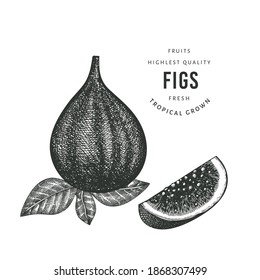 Hand drawn sketch style figs. Organic fresh food vector illustration isolated on white background. Retro fruit illustration. Engraved style botanical picture.