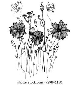  hand drawn sketch style floral.Vector illustration isolated on white background