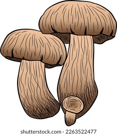 	
Hand drawn sketch style fresh farm mushrooms compositions set. Champignons, oysters, chanterelles and porcini mushrooms. Organic eco raw food vector illustrations isolated on white background.