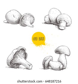 Hand drawn sketch style fresh fram mushrooms compositions set. Champignons, oysters, chanterelles and porcini mushrooms. Organic eco raw food vector illustrations isolated on white background.