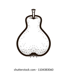 Hand drawn sketch style fruit pear isolated on white background. Bio food vector illustration collection. Coloring book for adults.