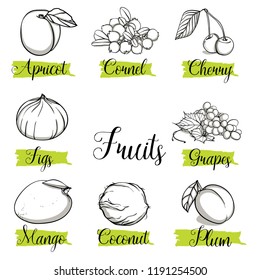 Hand drawn sketch style fruits and berries. Mango, apricot, plum, fig, grapes, cherry, dogwood, coconut. Organic fruit with leaf, vector doodle illustrations collection isolated on white background.