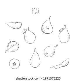 Hand drawn sketch style fruits set. Bio food vector illustration collection on white background. Slice pear