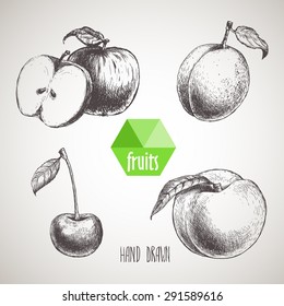 Hand drawn sketch style fruits set. Apple with slice of apple, apricot, cherry and peach. Organic food, farm fresh fruit. Vintage style illustration