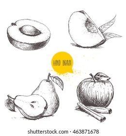 Hand drawn sketch style fruits set. Apricot, peach quarter with leafs, whole pear and half, apple with cinnamon sticks. Vector illustration collection on white  background.