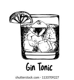 Hand drawn sketch style Gin and Tonic cocktail isolated on white background. Vector illustration.