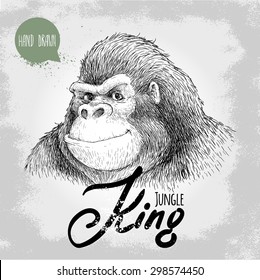 Hand drawn sketch style gorilla. Jungle King. Smiling big and dangerous monkey. Chinese new year symbol. Friendly t-shirt design.