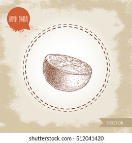 Hand drawn sketch style half of orange fruit. Hand made vector citrus fruit illustration isolated on old looking background.