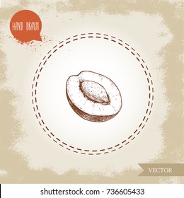 Hand drawn sketch style half of plum with seed. Organic eco fruit vector illustration. Isolated on old looking background.