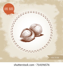 Hand drawn sketch style hazelnuts composition.. Nut vector illustration. Healthy forest and organic  food. Isolated on old looking background.