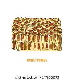 Hand drawn sketch style honeycombs isolated on white background. Vector colour illustration. Bee product. Vector sketch for beekeeping.