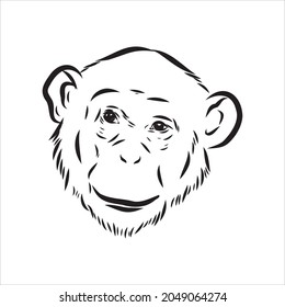 Hand drawn sketch style illustration of monkey face. Chinese zodiac sign. Young Chimpanzee. Vector illustration.