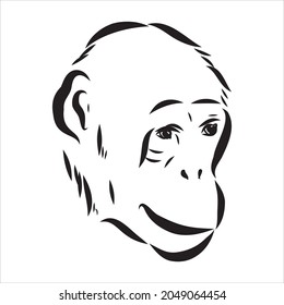 Hand drawn sketch style illustration of monkey face. Chinese zodiac sign. Young Chimpanzee. Vector illustration.