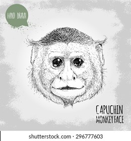 Hand drawn sketch style illustration of monkey face. Chinese zodiac sign. Capuchin monkey face. T-shirt and placard design. Vector illustration.