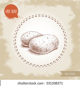 Hand drawn sketch style illustration of ripe potatoes. Eco food vintage vector illustration