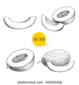 Hand drawn sketch style illustration set of ripe melons and melon slices. Eco food vector illustrations isolated on white background.