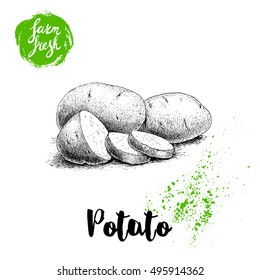 Hand drawn sketch style illustration of ripe potatoes and slices. Farm fresh vector illustration poster.