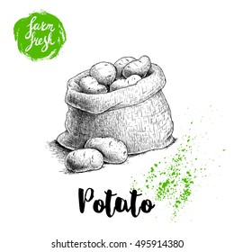 Hand drawn sketch style illustration of ripe potatoes in burlap bag. Farm fresh vector illustration poster.