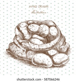 Hand drawn sketch style illustration of ripe potatoes in burlap bag. Farm fresh vector illustration.