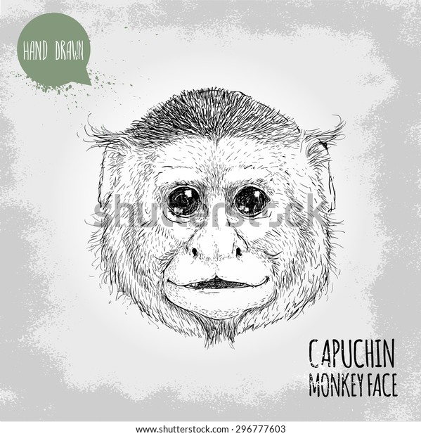 Hand drawn sketch style illustration of\
monkey face. Chinese zodiac sign. Capuchin monkey face. T-shirt and\
placard design. Vector\
illustration.
