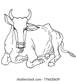 Hand Drawn Sketch Style Indian Cow Stock Vector (Royalty Free ...