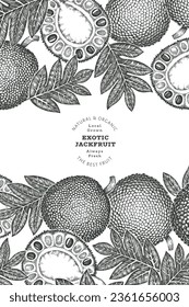 Banner de jackfruit estilo boceto dibujado a mano. Ilustración vectorial de fruta fresca orgánica. Plantilla de diseño de fruta de pan retro
