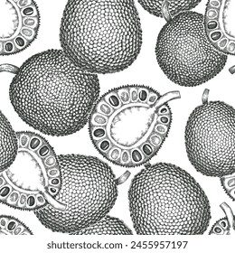 Dibujado a mano estilo boceto jackfruit patrón sin fisuras. Ilustración vectorial orgánica de fruta fresca. Fondo retro del pan