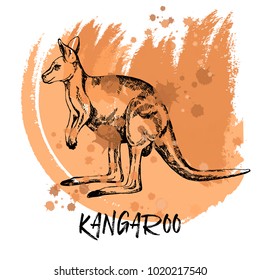 Hand drawn sketch style kangaroo. Vector illustration isolated on white background.