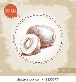 Hand drawn sketch style kiwi fruit vector illustration. Vintage design isolated on grunge background.