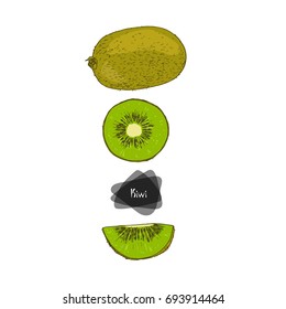 Hand drawn sketch style kiwi and two slices of kiwi on white background. Color illustration.