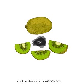 Hand Drawn Sketch Style Kiwi Slices Stock Vector (Royalty Free ...