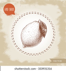 Hand drawn sketch style lemon with leaf. Healthy fruit retro vector illustration.