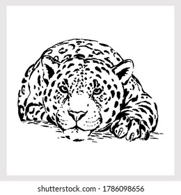 Leopardo de estilo de boceto dibujado a mano aislado en un fondo blanco. Ilustración vectorial.