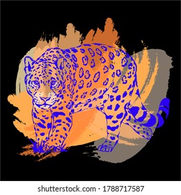 Hand drawn sketch style leopard isolated on back background. Vector illustration.