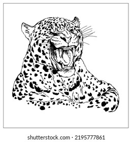 Leopardo de estilo de boceto dibujado a mano aislado en un fondo blanco. Ilustración vectorial.