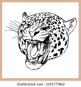Hand drawn sketch style leopard isolated on white background. Vector illustration.