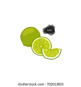 Hand drawn sketch style lime and sliced lime on white background. Color illustration. 