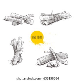 Hand drawn sketch style liquorice roots bunches set. Herbal and aromatic vector illustrations and drawings collection. Isolated on white background.