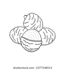 Hand drawn sketch style lychee isolated on white background