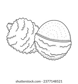 Hand drawn sketch style lychee isolated on white background